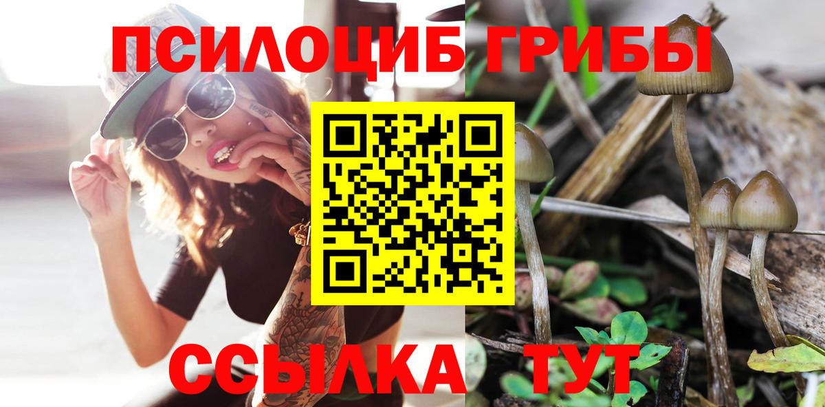 Галлюциногенные грибы мухоморы Гусев