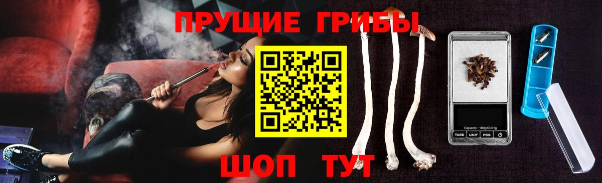 Гусев  Псилоцибиновые грибы прущие грибы  Вход с VPN 